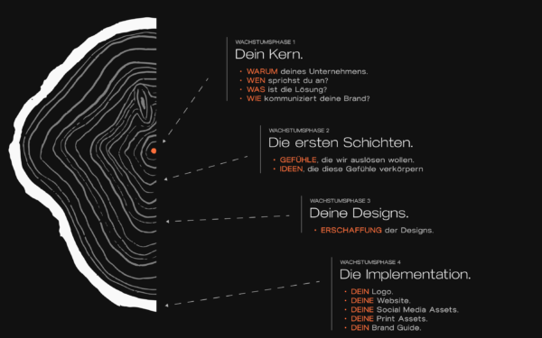 Komplettes Bild Krisnetics